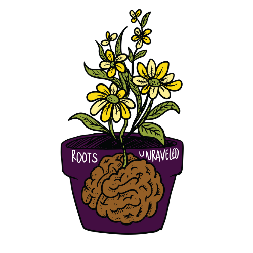 Roots Unraveled